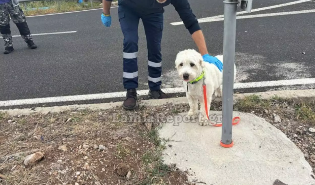 Τροχαίο