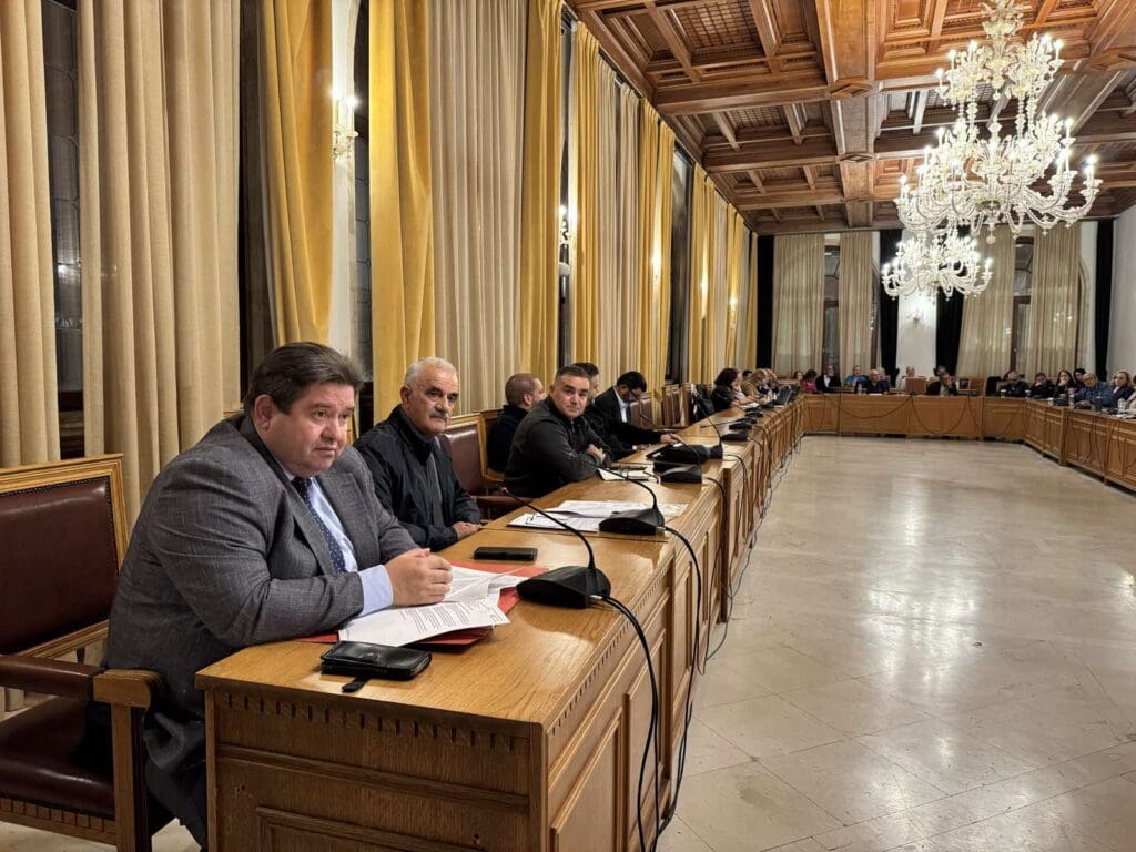 δημοτικό συμβούλιο