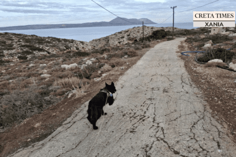 Χανιά