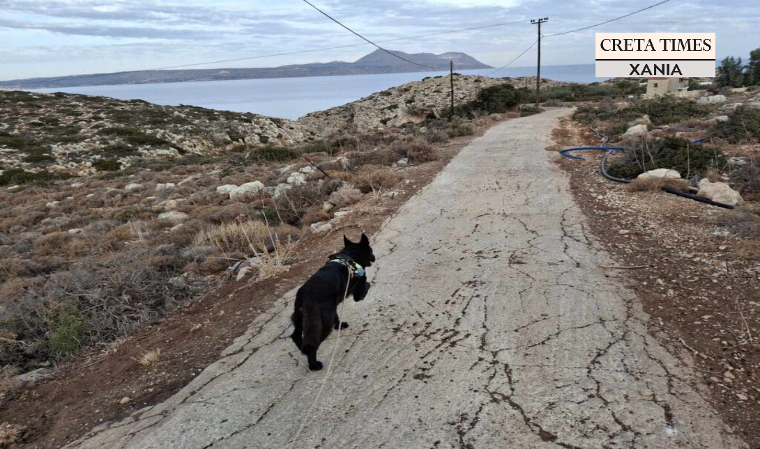 Χανιά