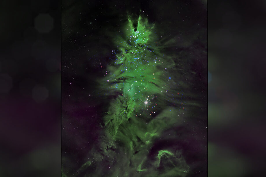 ΧΡΙΣΤΟΥΓΕΝΝΙΑΤΙΚΟ ΔΕΝΤΡΟ