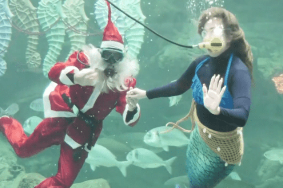 Άγιος Βασίλης ενυδρείο