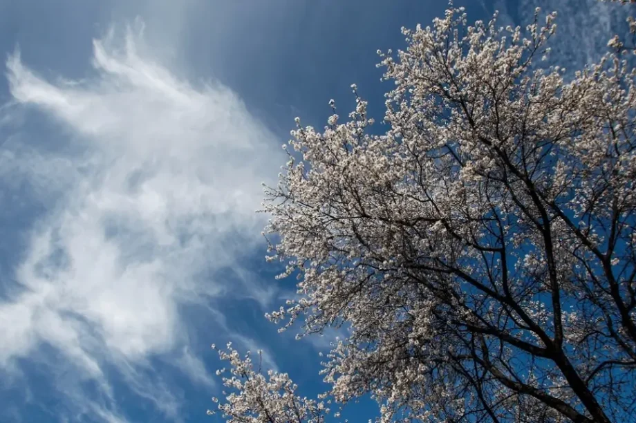 αίθριος καιρός συννεφιά ήλιος