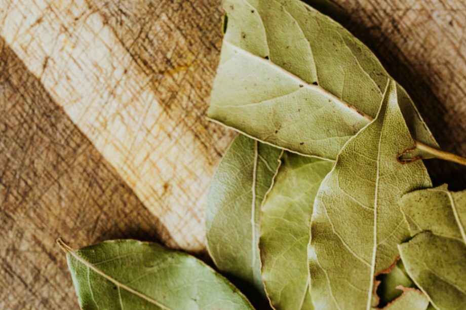 φύλλα δάφνης