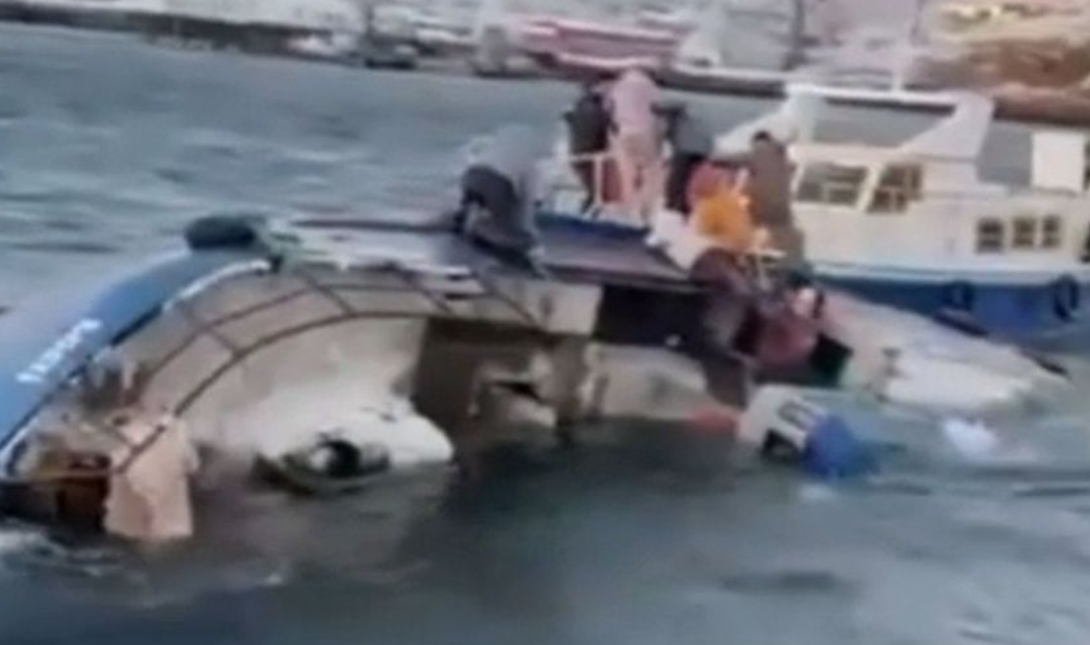 φάλαινες