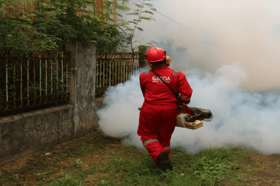 φυτοφάρμακα
