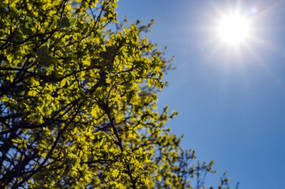 ΗΛΙΟΣ ΗΛΙΟΦΑΝΕΙΑ ΚΑΛΟΚΑΙΡΙΑ