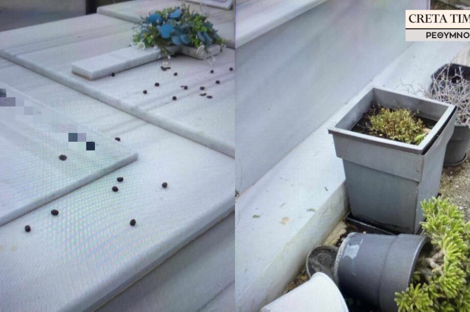 πρόβατα νεκροταφείο Γαράζο Μυλοποτάμου