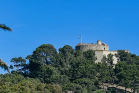 Νησί