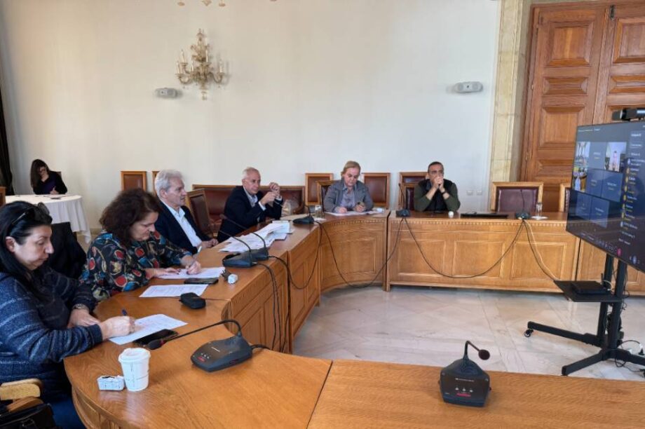 τεχνικό προγραμμα δημοτικη επιτροπη