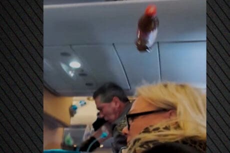 Βίντεο