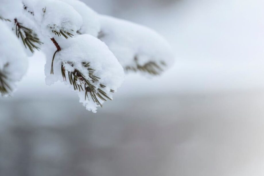 ΧΙΟΝΙΑ ΧΙΟΝΙ