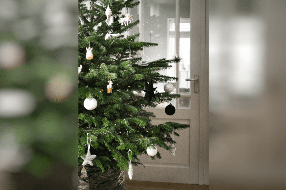 Χριστουγεννιάτικο δέντρο