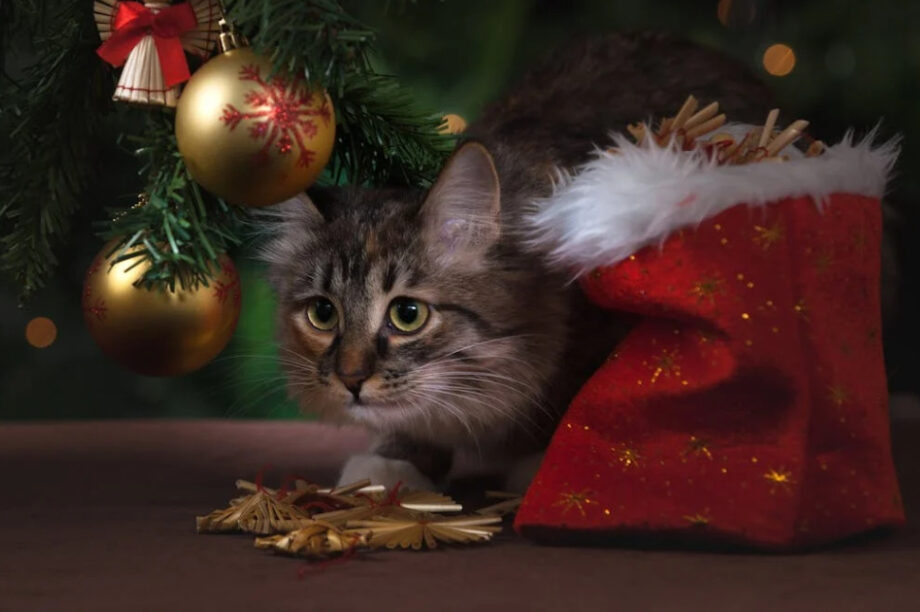 Χριστούγεννα