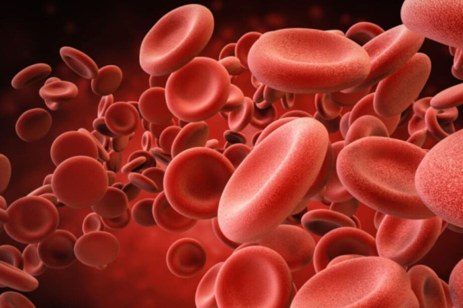 αίμα αιμορραγία