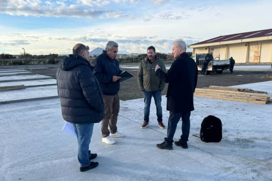 ΑΛΙΚΑΡΝΑΣΣΟΣ ΑΥΤΟΨΙΑ