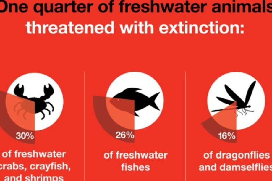 απειλούμενα είδη γλυκό νερό