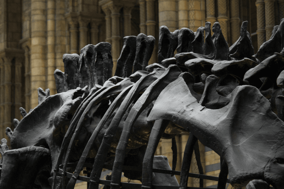 δεινόσαυρος