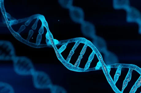 DNA γενετικό υλικό έλικας