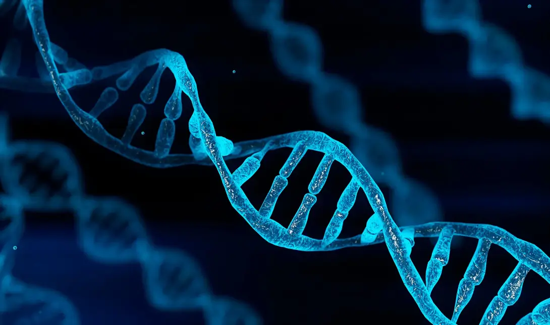 DNA γενετικό υλικό έλικας