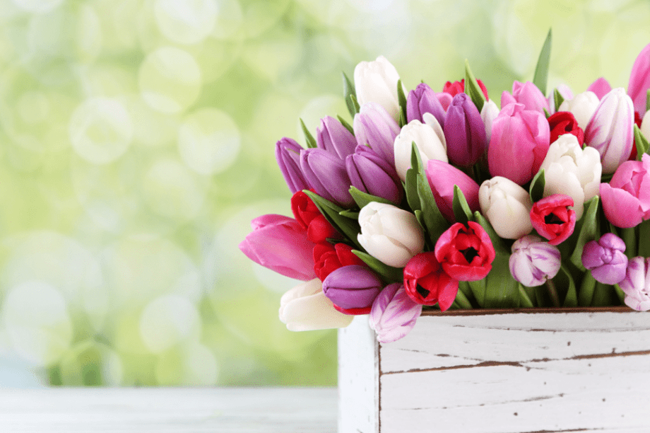 λουλούδια εορτολόγιο