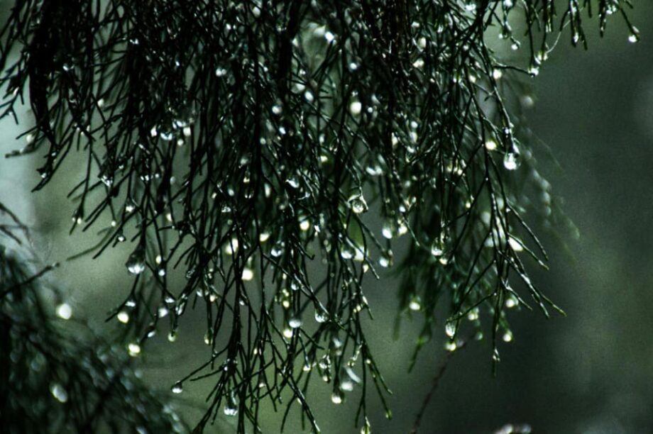 βροχη καιρος