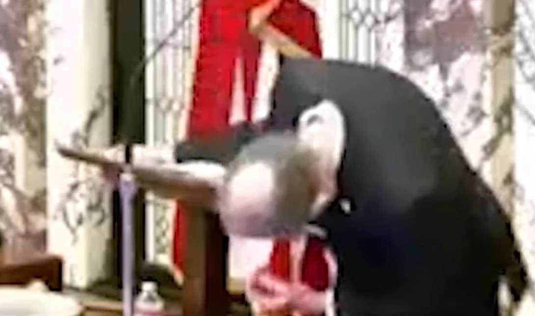 Αντιπρόεδρος