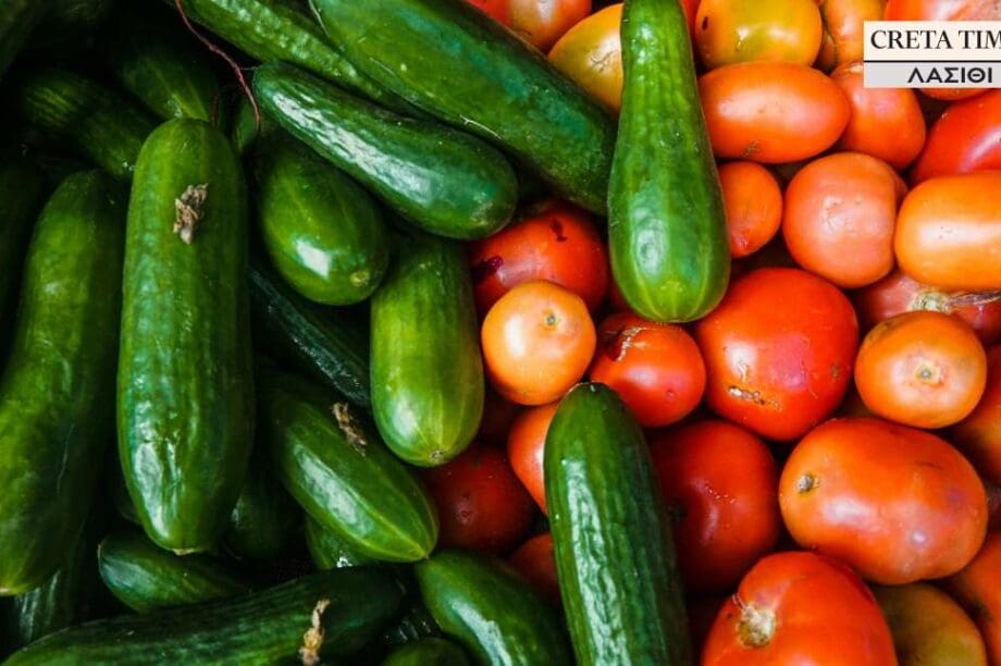 ντομάτα αγγούρι