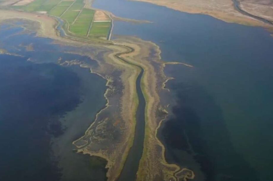 «Πράσινος Πλανήτης»