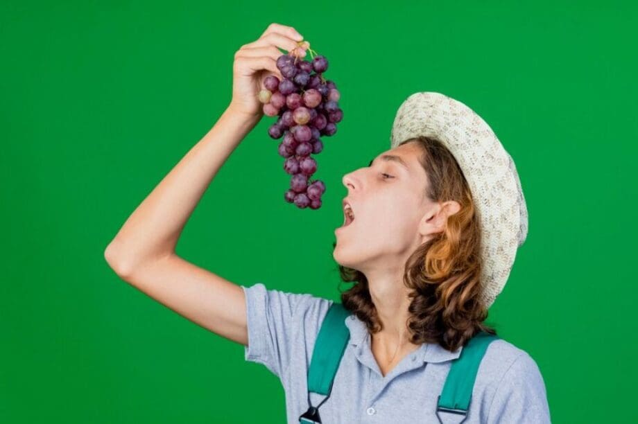 ΣΤΑΦΥΛΙΑ ΦΡΟΥΤΟ