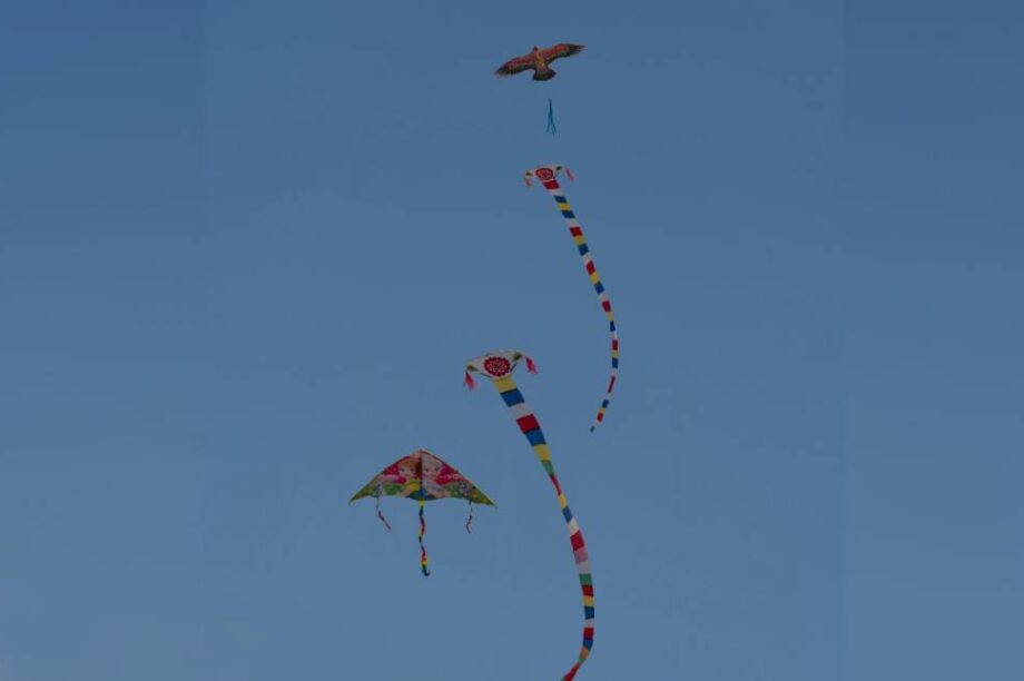 χαρταετός - σαρακοστή