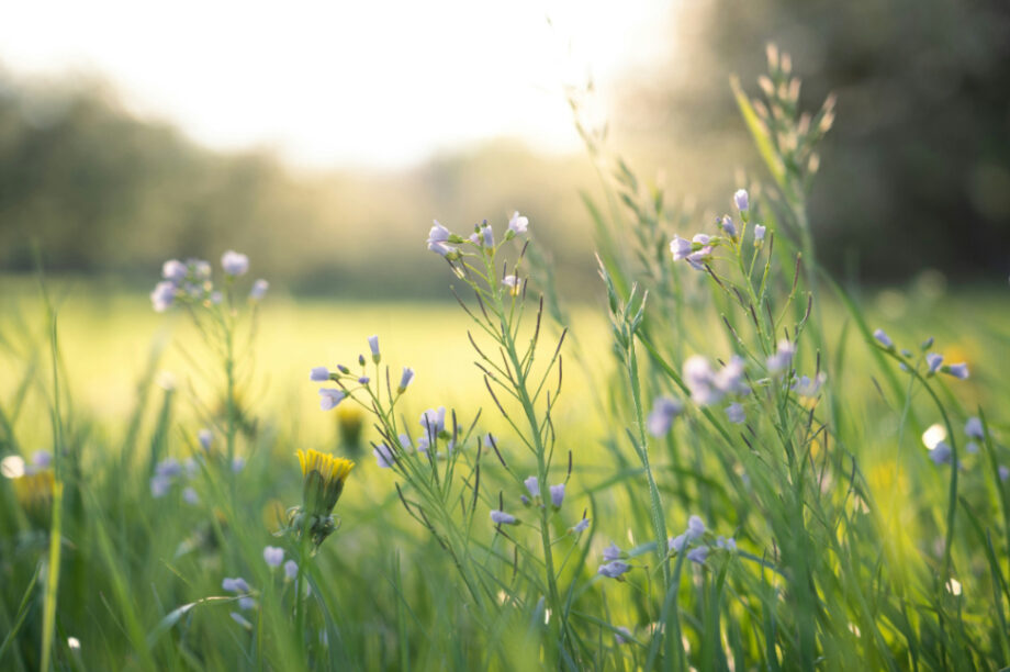 Απρίλιος Άνοιξη