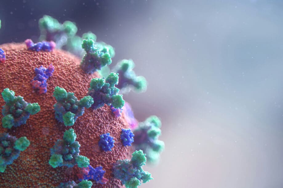 Π.Ο.Υ.: Τι αναφέρει για τον θανατηφόρο ιό του Κονγκό