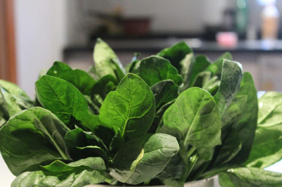 Τροφή Σπανάκι