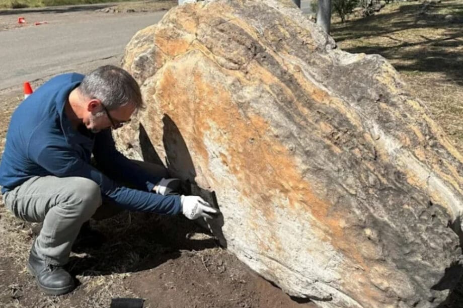 δεινόσαυροι απολιθώματα Ασυτραλία σχολείο