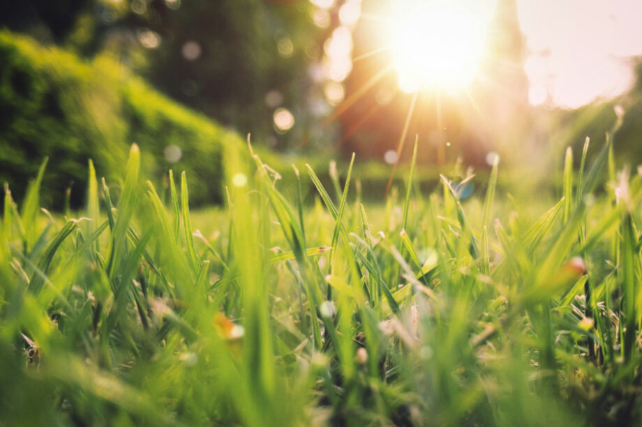 Τι σηματοδοτεί η Εαρινή Ισημερία