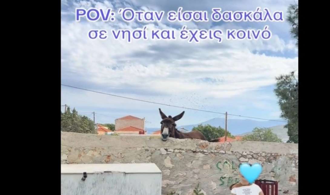 Γάιδαρος