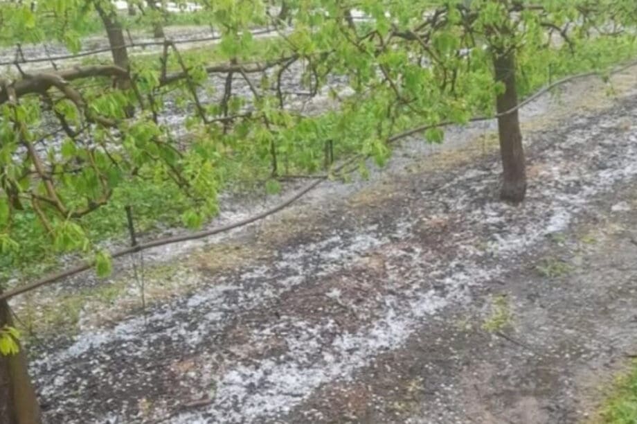 χαλάζι καλλιέργειες