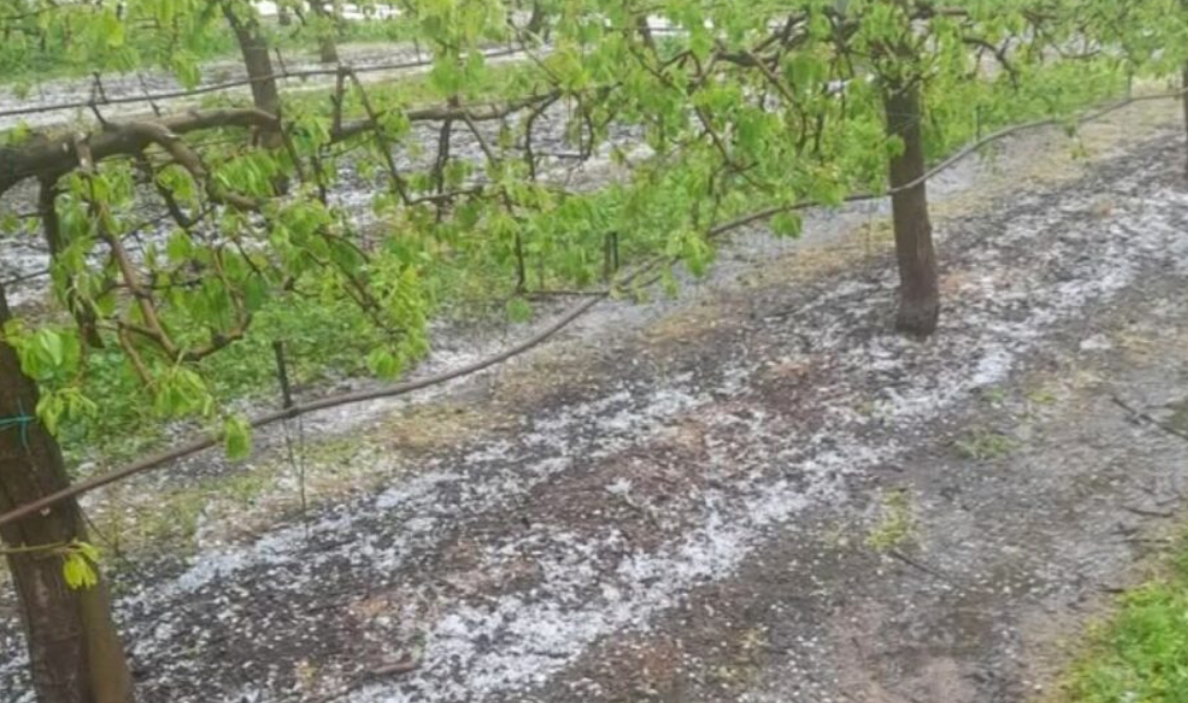 χαλάζι καλλιέργειες