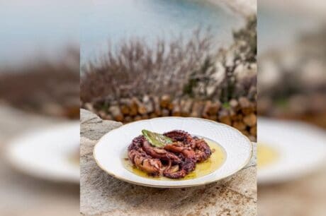 ΧΤΑΠΟΔΙ ΚΡΑΣΑΤΟ ΣΥΝΤΑΓΗ χταπόδι Χταπόδι