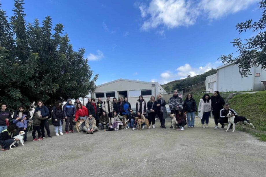 Σκυλοβόλτες Κυνοκομείο Ηρακλείου