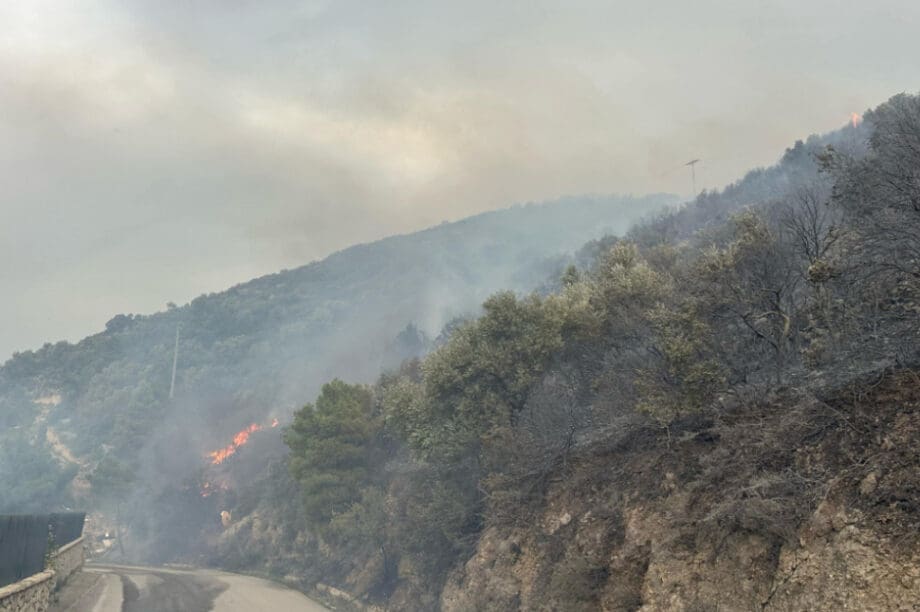 Λευκάδα φωτιά