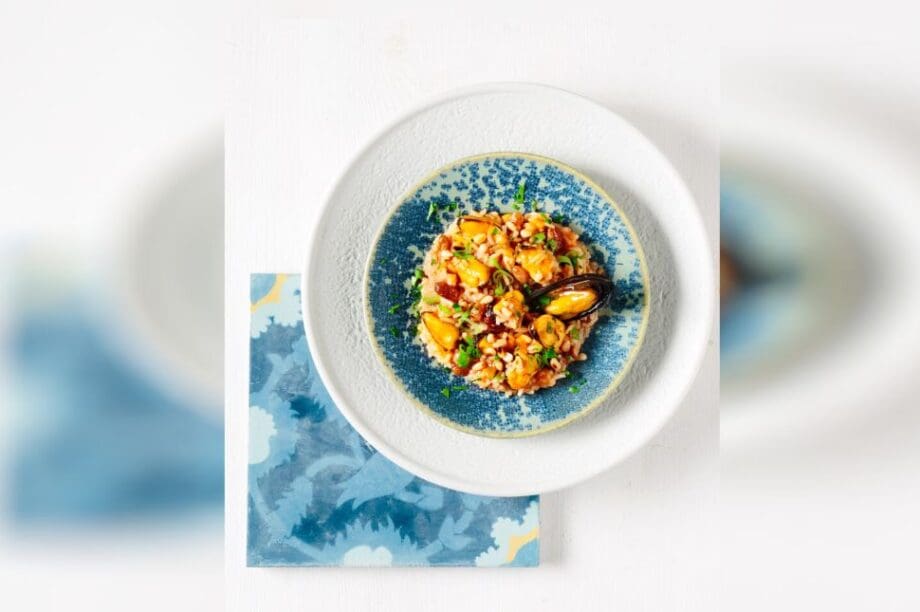 ΜΥΔΟΠΙΛΑΦΟ ΣΥΝΤΑΓΕΣ