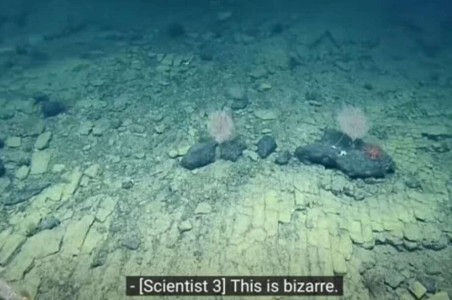 Ειρηνικός Ωκεανός