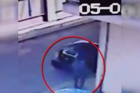 Περιστέρι