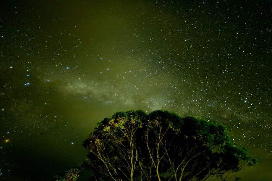 Επιστήμονας