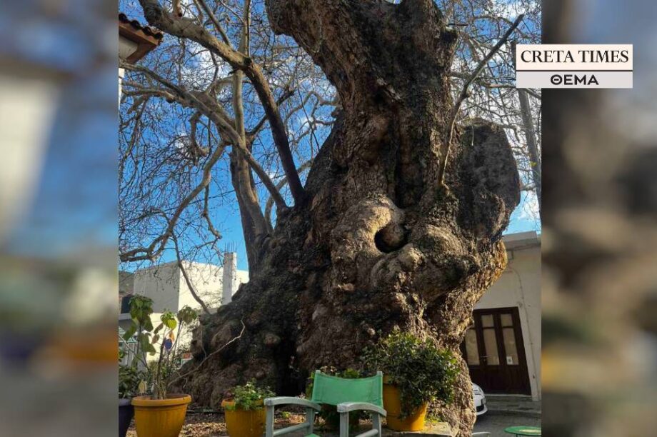 Πλάτανος - Βιάννος