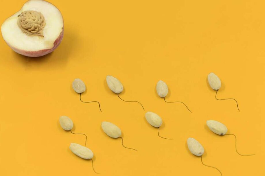 σπερματοζωάρια