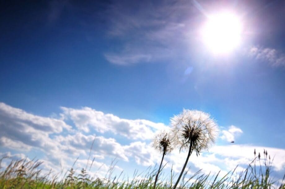 Καλοκαιρία άνοιξη