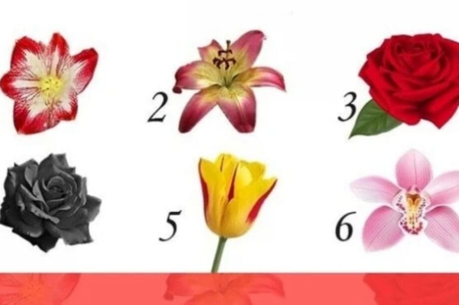 Τεστ προσωπικότητας: Διάλεξε λουλούδι...